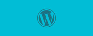 webredone web design and development wordpress article hero