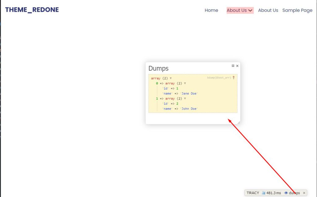 Debugging tracy theme redone wordpress starter theme
